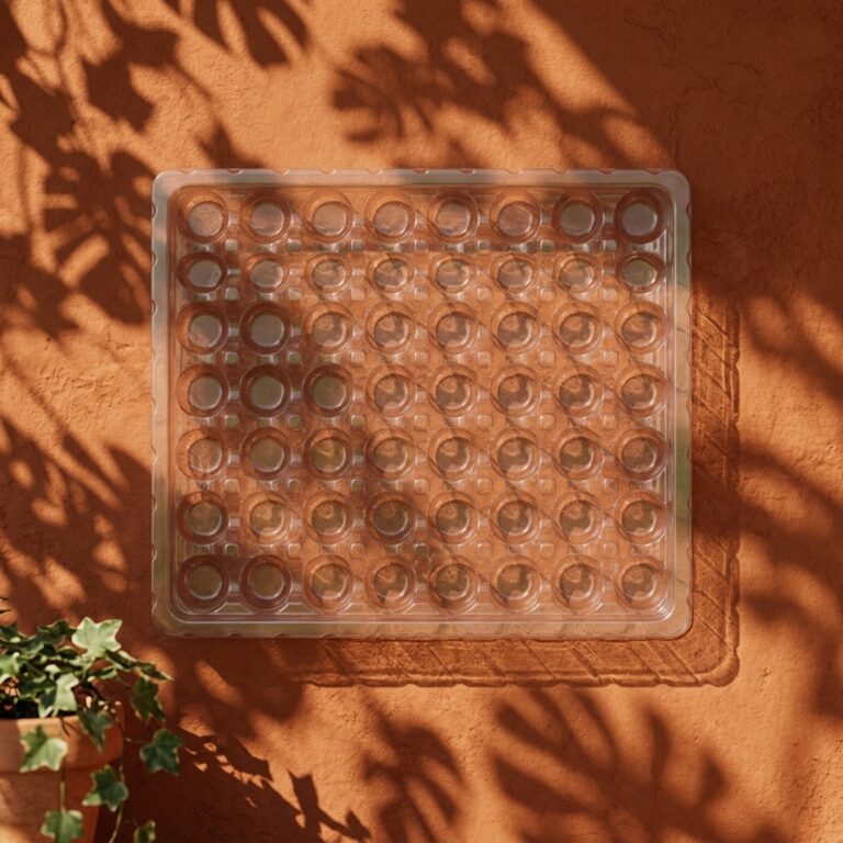 Blister Packaging Tray
